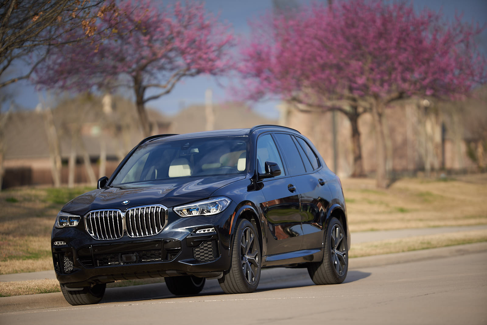 Name:  2019_BMW_X5_xDrive_ 4.jpg
Views: 5993
Size:  190.6 KB