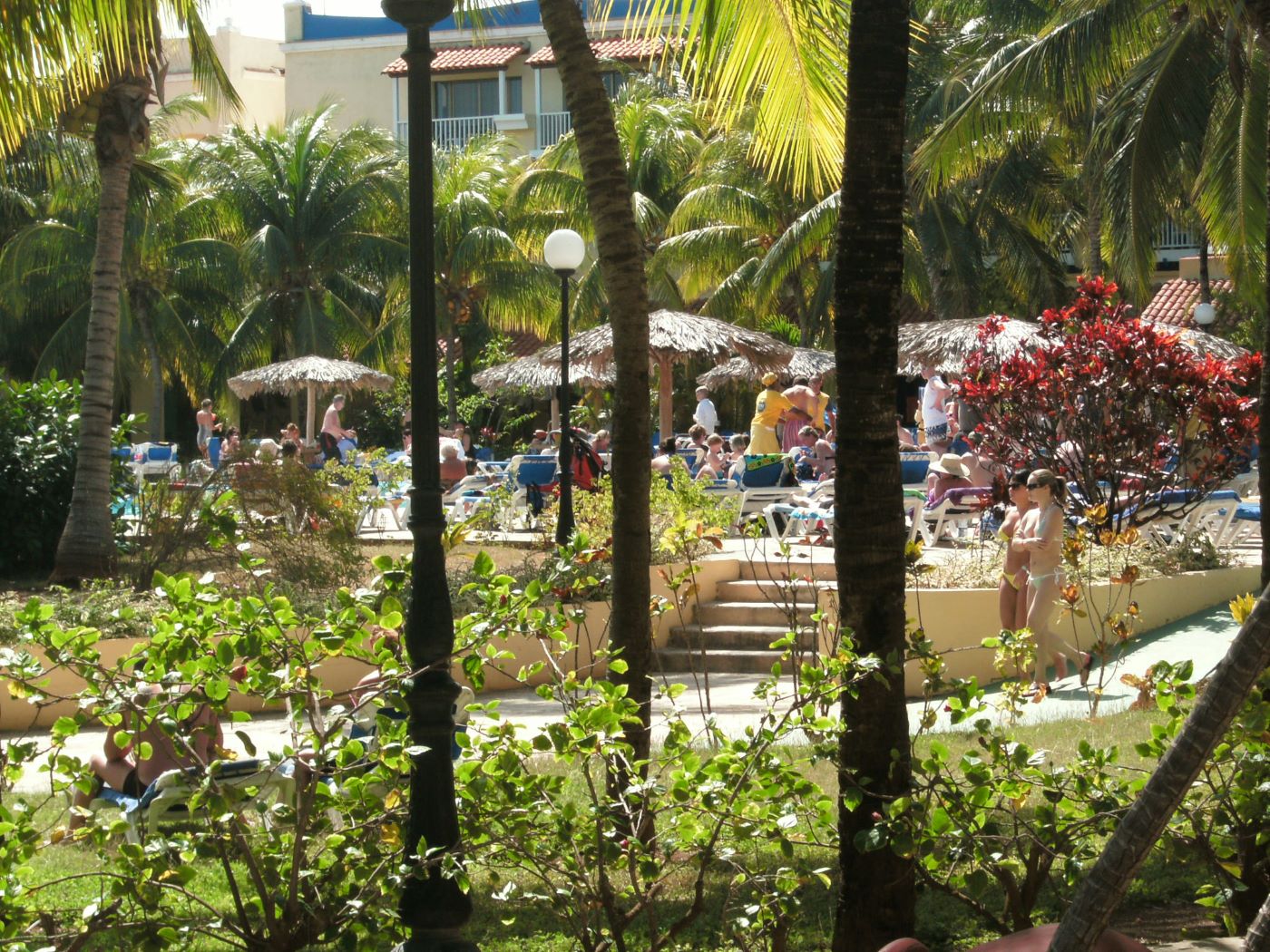 Name:  Vacation 2019.JPG
Views: 3740
Size:  391.2 KB