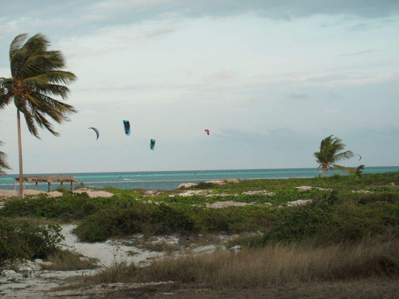 Name:  Kite Surfing.JPG
Views: 4192
Size:  161.8 KB