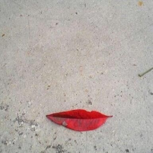 Name:  Lips..jpg
Views: 1363
Size:  118.1 KB