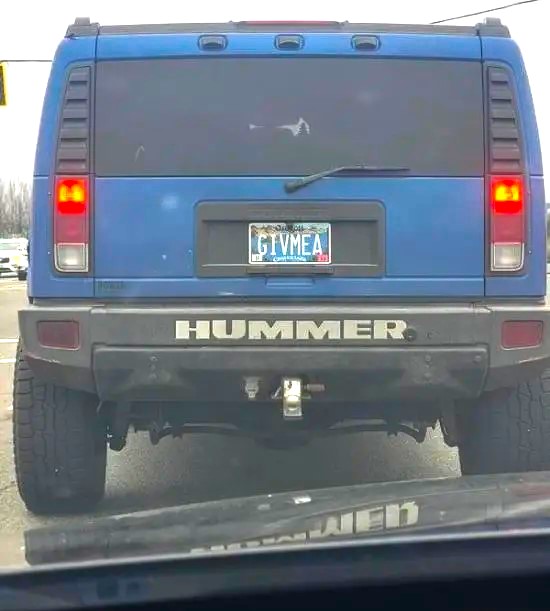 Name:  Hummer..jpg
Views: 486
Size:  54.6 KB