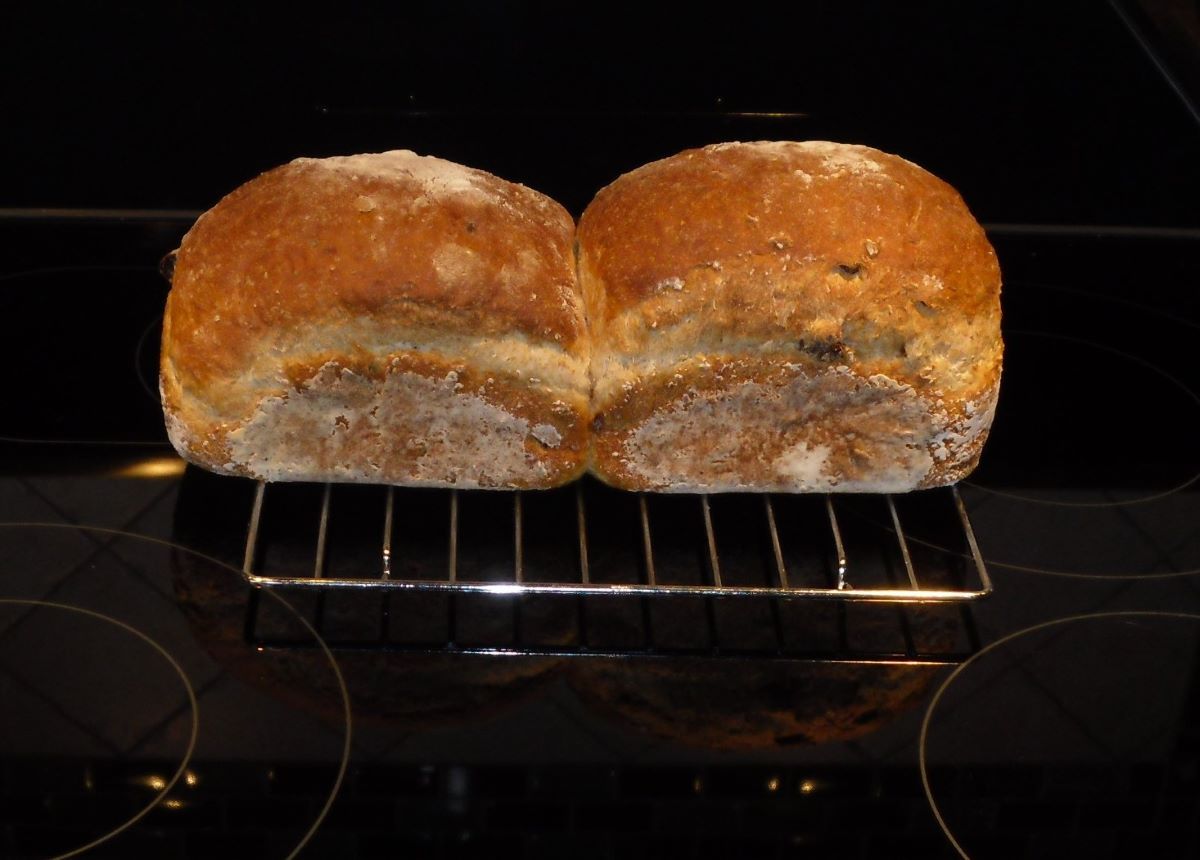 Name:  Bread..jpg
Views: 38
Size:  94.9 KB