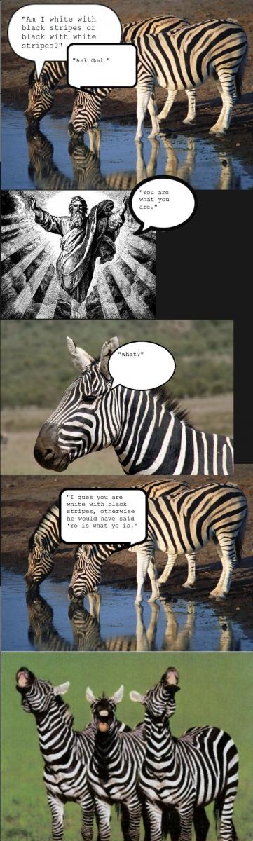 Name:  zebra.jpg
Views: 3289
Size:  98.3 KB